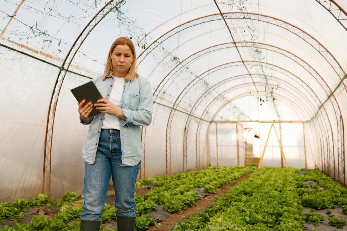 Tech-Savvy Farming